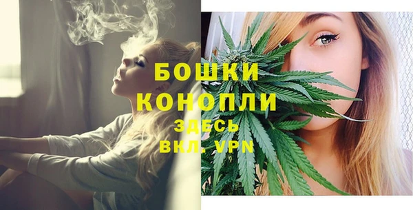 МДПВ Навашино