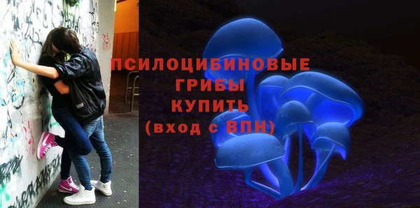 apvp Надым